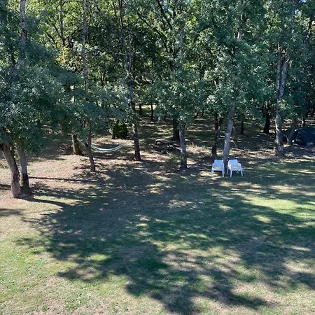 La Planette Oda ve Kahvaltı *