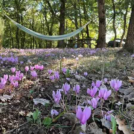 La Planette * Aussonne