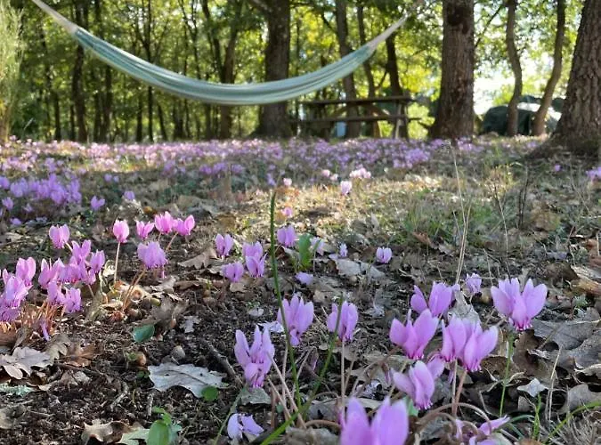 La Planette * Aussonne